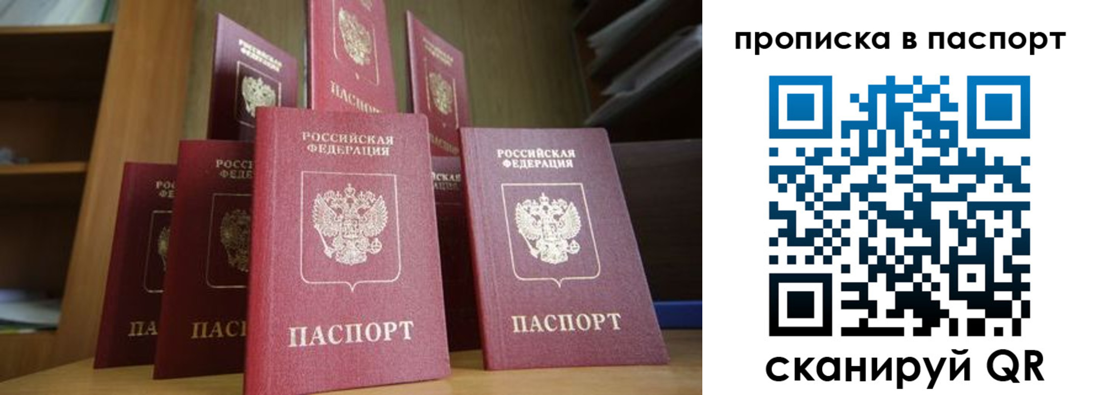 прописка законно в Николаевске